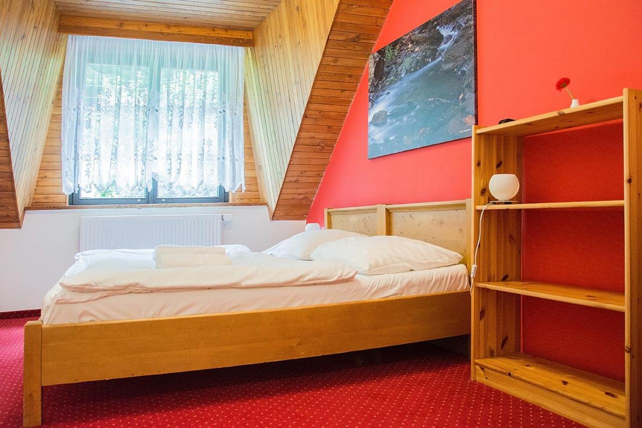 Horský hotel Vidly Karlova Studánka Exteriér fotografie