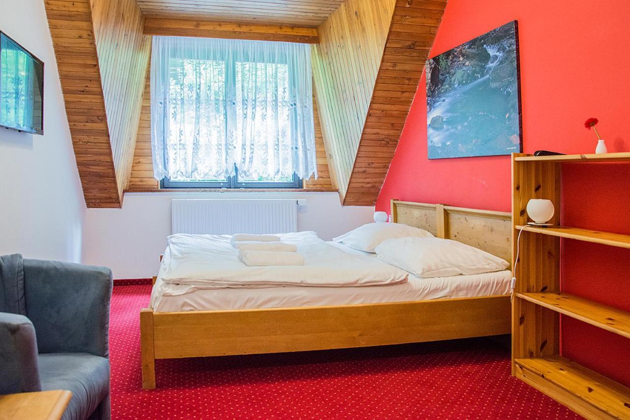 Horský hotel Vidly Karlova Studánka Exteriér fotografie